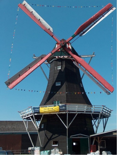 Woldzigt
